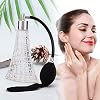 Ymiko Perfume Atomisers Bottles Vintage Perfume Bottle, Refillable Glass Bottle with Antique Black Bulb Sprayer and Tassel, 75ml