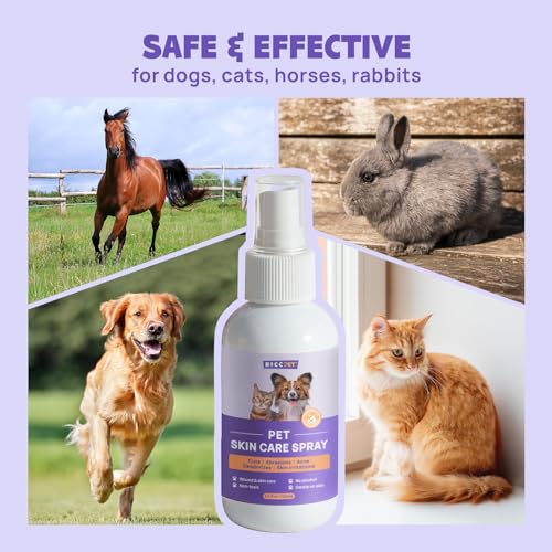 HICC PET Hot Spot Treatment & Itch Relief Spray for Dogs and Cats, Pet Treatment Spray for Itchy, Irritated Skin, Allergy, Rashes – Painless Wound Care and Lick Safe Spray for All Animals (3.4 Fl Oz) HICC PET Hot Spot Treatment & Itch Relief Spray for Dogs and Cats, Pet Treatment Spray for Itchy, Irritated Skin, Allergy, Rashes – Painless Wound Care and Lick Safe Spray for All Animals (3.4 Fl Oz)
