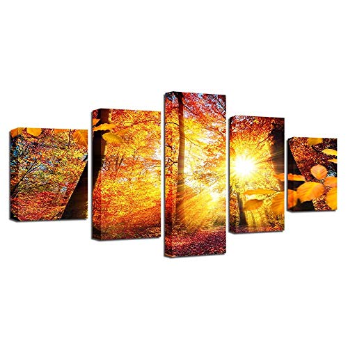 Tableau sur toile Érable au soleil en 5 pièces pour décoration murale moderne sans cadre