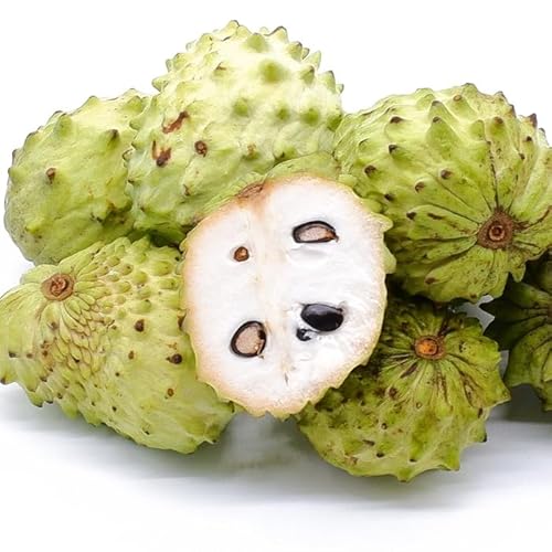 フルーツ アテモヤ」の人気商品一覧 | 安い商品を通販サイトから探す