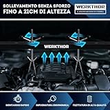 WERKTHOR B0GKJ49SDP lato 3