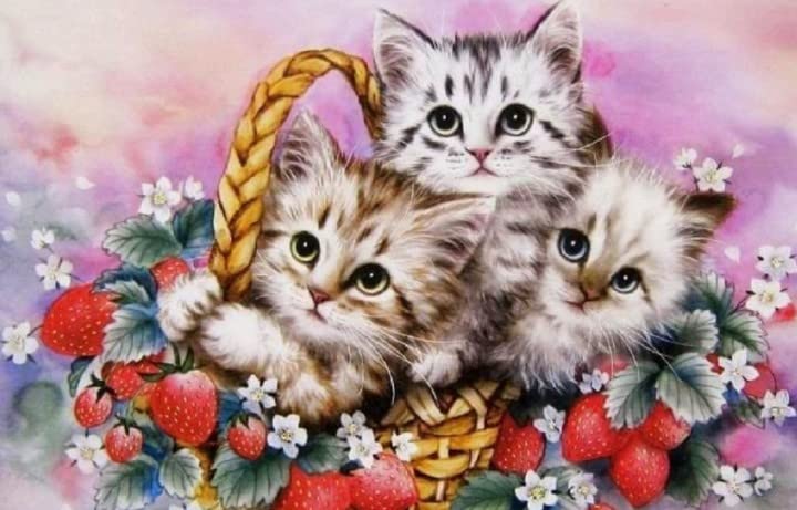 Pavemlo 5D Diamond Painting Kit Completo Gattino, DIY Pittura Diamante Art Kit Animale, Strass Arte Creazione di Mosaico Murale Artigianale per la Decorazione della Parete di Casa 30x40cm