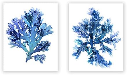 Set of Two Seaweed Prints No. 10 and 22 in multi-hued blue tones, Blue Coastal Decor Print Set
