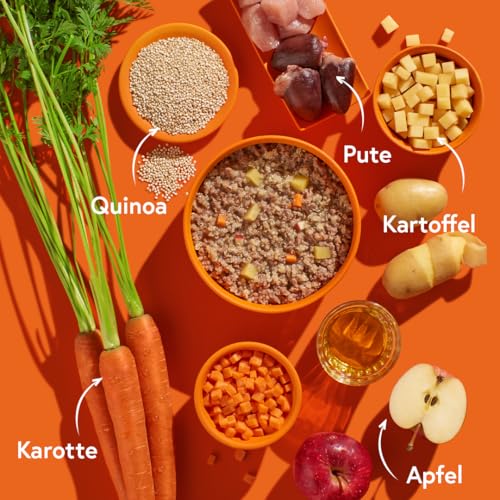FRED Nassfutter Hund Pute mit Kartoffeln – Monoprotein – 50 % Pute in Lebensmittelqualität – Getreidefrei – mit Gemüse & Quinoa – Alleinfuttermittel für ausgewachsene Hunde – 390 g Tetra Pak