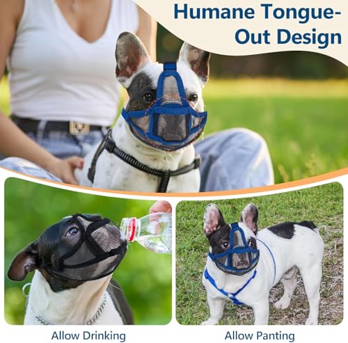 Maulkorb Hunde mit Kurzer Schnauze für Französische Bulldogge und Pitbulls, Abgeflachter Schnauze Hunde Maulkorb für Shih Tzu und Mops, Anti Beißen Kauen Bellen,ermöglichen Atmen und Trinken,Schwarz S