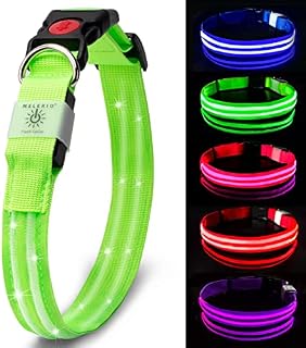 MELERIO LED Dog Collar Flashing Light Up with USB Rechargeable & 100% Waterproof, Super Bright Flashing Dog Collar with 10 Hours Working TimeGreen S