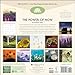 The Power of Now 2025 Wall Calendar: A Year of Inspirational Quotes