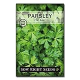 Sow Right Seeds - Flat Leaf Parsley Seed for Planting - Non-GMO Heirloom Packet with Instructions to Plant and Grow a Kitchen Herb Garden - Indoor or Outdoor - Great for Hydroponics Growing (1)