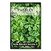 Sow Right Seeds - Flat Leaf Parsley Seed for Planting - Non-GMO Heirloom - Instructions to Plant and Grow a Kitchen Herb Garden, Indoor or Outdoor; Great Gardening Gift (1)