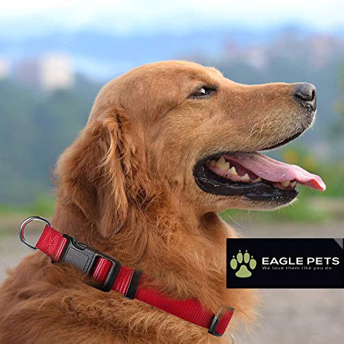 Image of Dog Collar and Leash Set, Adjustable Nylon Collar with Leash for Small Medium and Large Dogs, Quick Release and Breathable Collar for Puppies (Large, Red)