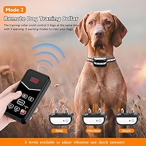 Wireless-Dog-Fence-System-for-2-Dogs-2023-Wireless-Fence-Remote-Training-Collar-Portable-Electric-Dog-Boundary-System-Rechargeable-Garden-Wireless-Fence-Suitable-for-Puppy-Small-Large-Dogs - Cucciolini Doodles   Wireless-Dog-Fence-System-for-2-Dogs-2023-Wireless-Fence-Remote-Training-Collar-Portable-Electric-Dog-Boundary-System-Rechargeable-Garden-Wireless-Fence-Suitable-for-Puppy-Small-Large-Dogs