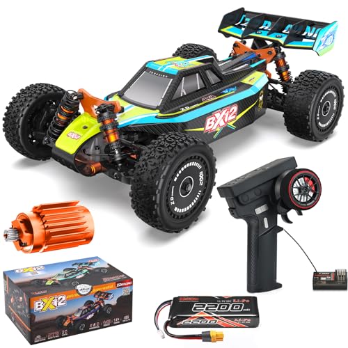 AINIUNIU ZD Racing 1:12 RC Buggy