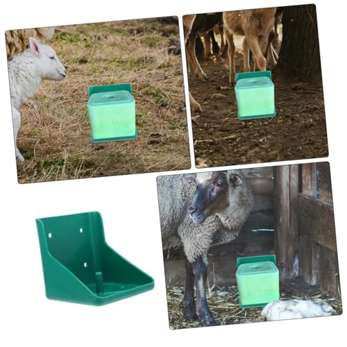 Support porte-blocs de sel moutons bétail COLLBATH mangeoire boîte à lécher chevaux vaches
