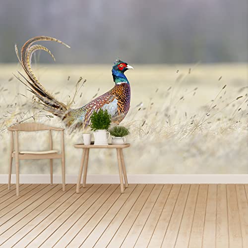 Papier peint faisan Tulup 152x104cm décor mural moderne - 6