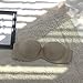 BABAOZHOUHE Women Sexy Strapless Bra Invisible Push Up Bras Underwear Seamless Solid Without Straps Bralette Lingerie B Beige