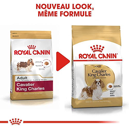 ROYAL CANIN Cavalier King Charles Adult - 3 kg
