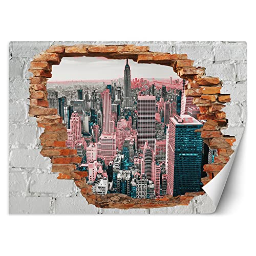 Feeby Papier Peint Intissé Trou dans le mur 200x140 cm rose XXL Moderne Décoration Murale Tableaux Muraux Déco Tapisserie pour Salon Chambre à coucher...
