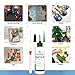 OOTDART Craft Glue & Precision Tips, Craft Glue Bottles with Fine Tip, Quick Dry Clear, Strong Tacky Glues, Fabric Adhesive Permanent for Paper Crafting Scrapbooking/Etc (4.2oz)