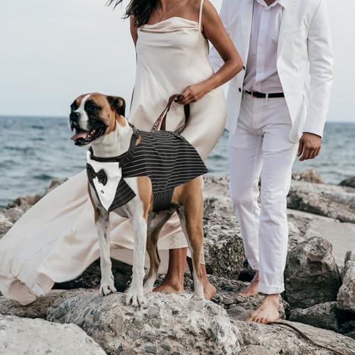 Disfraz de perro Tuxedo XXL con bufanda resistente miniatura 7