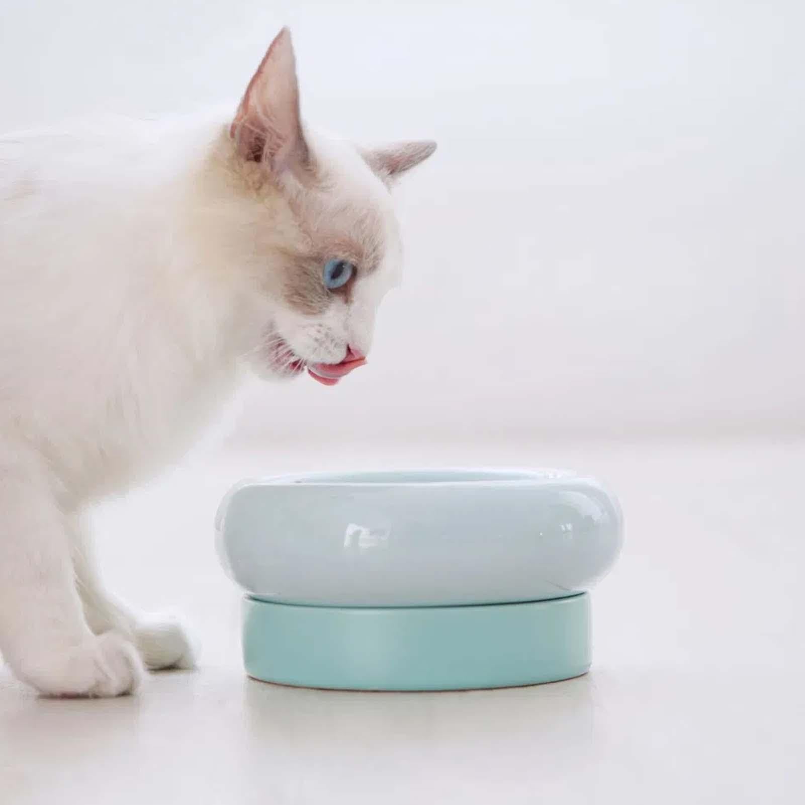 Gamelles mignonnes en céramique pour chat et chiot - Gamelle amovible pour chat - Double gamelle en céramique pour l'alimentation et l'arrosage des chats