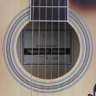 MEIeynt Guitare, kit de débutant pour Guitare Acoustique à pan coupé de 40 Pouces Guitarra Acustica avec Micro pour… - Les Beatles, Paul McCartney, John Lennon, RIngo Starr, George Harrison MEIeynt Guitare, kit de débutant pour Guitare Acoustique à pan coupé de 40 Pouces Guitarra Acustica avec Micro pour… – Image 6