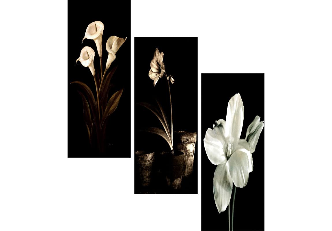 SAF paintings Preety Flower White Flower 3 piece UV Textured Multi-Effect Self adheshive Painting 18 Inch X 15 Inch (B09B57S6WK) Amazon Price History, Amazon Price Tracker