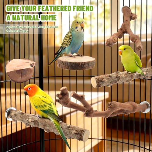 Image of 6 Pcs Natural Wood Bird Perch & Platform Set for Cage