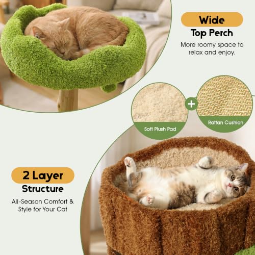 Image of KAMABOKO 57 inch Tall Indoor Cat Tree, Large Tower with 2 Condos & Sisal Scratching Pad