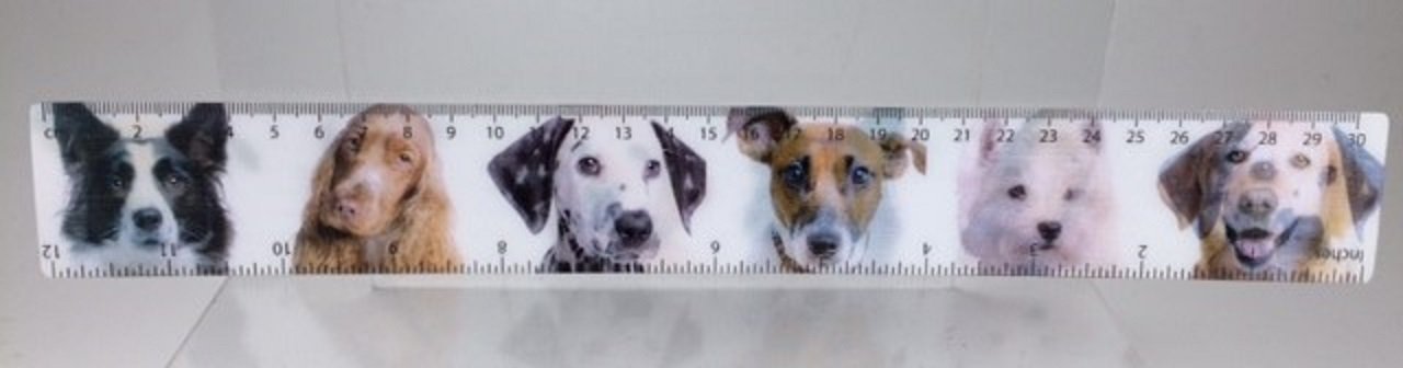 ElgateBreeds Of Dog Lenticular Ruler (3D)
