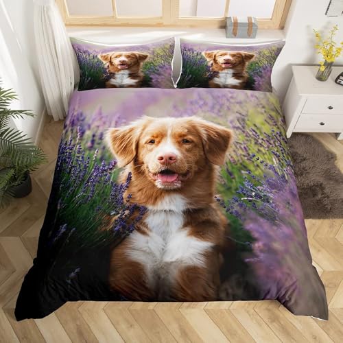 SJSXWQNzcZbg I[XgAEV[vhbO Jo[ t|zcJo[ |GXe _炩 ʋC R hL h_j zcJo[ (190x210cm) + 2 Jo[(43x63cm)