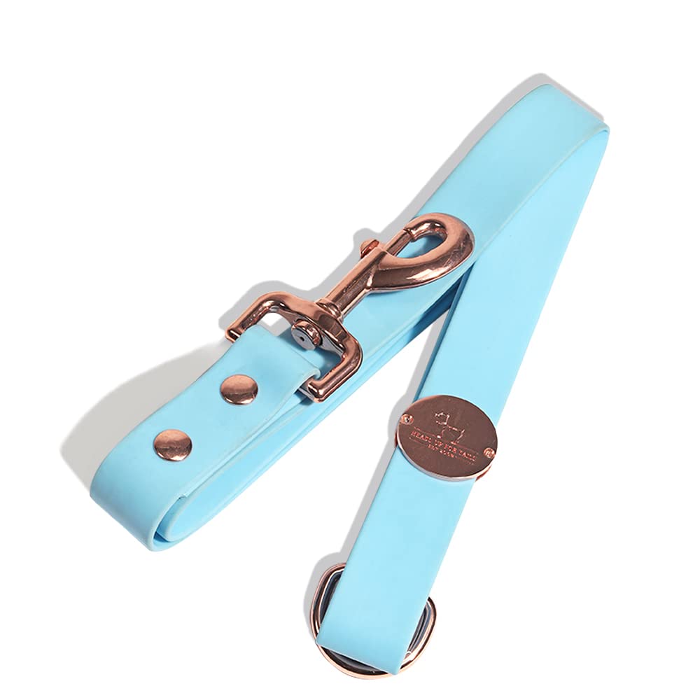 Heads Up for Tails Pastel Pawprint Rain Friendly Dog Leash - Blue - S (B0855JMMXQ) Amazon Price History, Amazon Price Tracker
