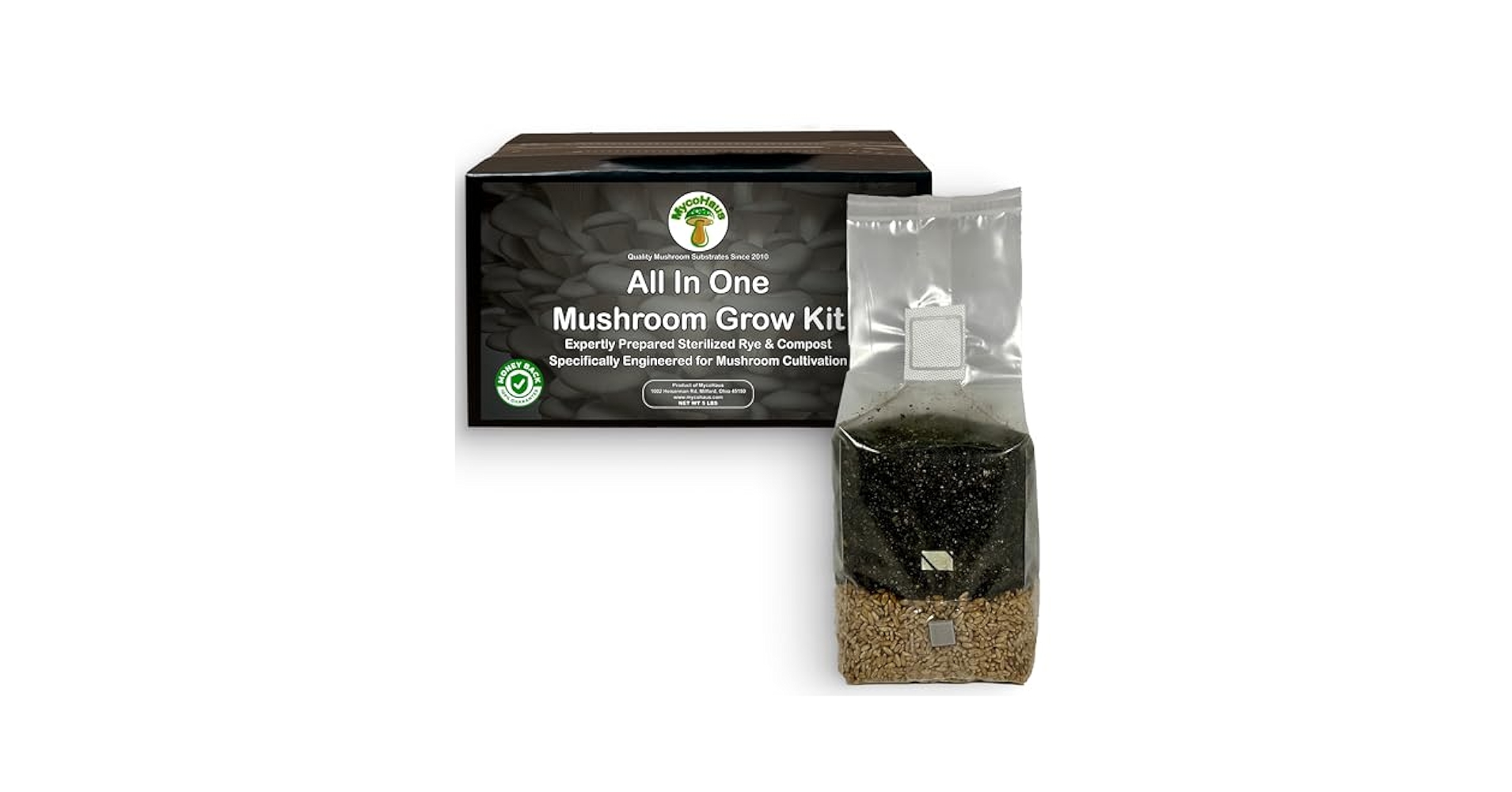 51MzIxq3wvL.jpg_BO30,255,255,