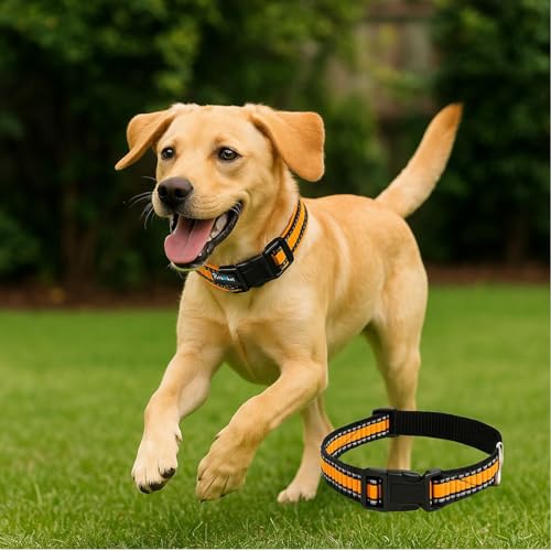 Image of Reflective Adjustable Pet Collar for Dogs and Cats - Durable Nylon Strap with Heavy-Duty Buckle | Comfortable and Safe for Walking and Training in Multiple Colors & Sizes (Yellow, Large)