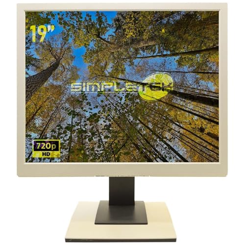 SIMPLETEK - Monitor LCD B19-5 19' | 5:4/4:3 - VGA/DVI - Casse Integrate | Base, Cavo di alimentazione e Cavo VGA inclusi (Ricondizionato)