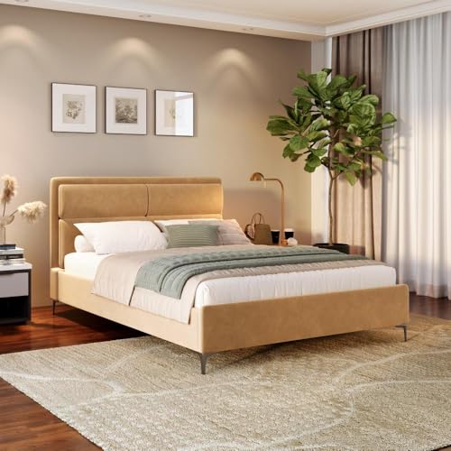 Image of Wakefit Bed | Queen (78 X 60) Solid Wood Bed, Upholstered, Without Storage, 3 Year Warranty - Zewail - Napoli Beige