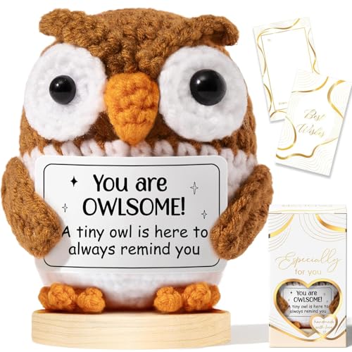 Emotional Support Crochet Positive Owl Inspirational Cheer Gifts for Women, Handmade Crochet Owl Awesome Gift Thank You Birthday Mothers Day Teacher Appreciation Gift for Coworker Nurse Mom Friends