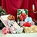 JOYIN 12 PCS Large Christmas Pull Bows with Ribbon 5” Wide for Gift Wrapping and Tags, Christmas Tree, Wine Bottles, Boxing Day Decorations, Holiday Décor Present Wrapping