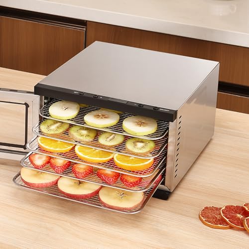 Food Dehydrator Machine - 5 Stainless Steel Trays, Digital Adjustable Timer, 400W, 176°F, Temperature Control, Mini Dryer for Jerky, Herb, Meat, Beef, Fruit and Dog Treats, Model 2015YJ, Silver