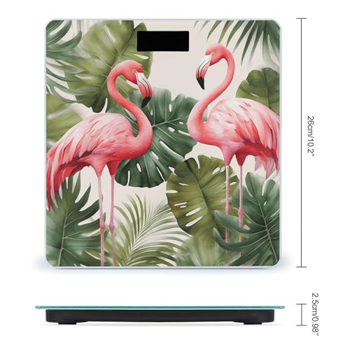 Báscula Digital de Baño con Plataforma de Vidrio Templado miniatura 2