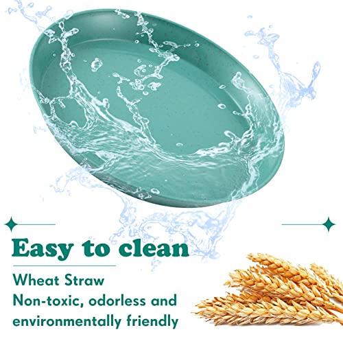 Gerrii 24 Pieces Whisker Fatigue Relief Cat Bowl 7.8 Inch / 6 Inch Shallow Cat Food Dish Cat Wet Feeding Bowls Wide And Small Pet Round Plates For Kittens And Short Legged Cat, Wheat Straw (6 Inch) #TOP6