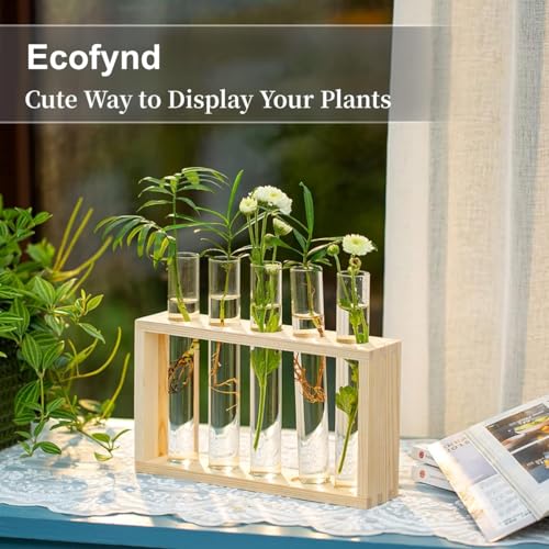 Image of ecofynd Test Tube Planter with Wooden Holder, Air Planter Glass Vase Holder with 4 Test Tube, Home Decor Hydroponic Plant Stand for Table Top, Desktop, Living Room, Office (TTP003)