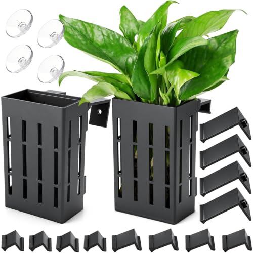 Borlech Upgraded Large Aquarium Plant Holder with Hooks and Suction Cups for Fish Tank Aquaponic...