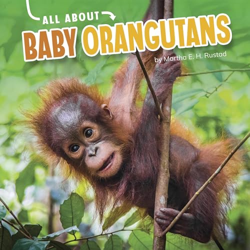 All About Baby Orangutans by Martha E. H. Rustad episode artwork