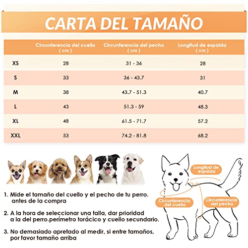 Ropa, Imagen adicional