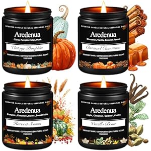 Winter Holiday Candles Set – Cinnamon, Vanilla Bean, Harvest Season & Pumpkin, Cozy Christmas Seasonal Candles Gift, Hand-Poured Soy Candle for Christmas Home Décor & Cozy Winter Gifting Cin