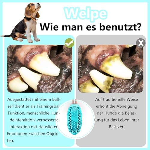 agogue 1 Stück Hundespielzeug Unzerstörbar, Dog Spiel, Futterball Hunde Spielzeug für Kleine Und Große Hunde, Zahnpflege und Intelligenzförderung