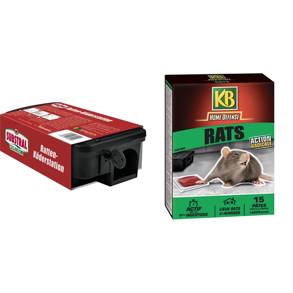Pates Appat Anti-Rats 150gr avec Boîte Sécurisée CELAFLOR pour Élimination