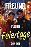 Freund für die Feiertage: MM Spicy Romance Novella (German Edition)