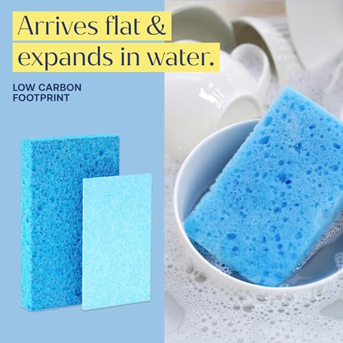 Image of Fab Tab Pop-Up Sponges - 12 Count Cellulose Sponges - Self-Expanding, Highly Absorbent, Non-Scratch, Assorted Colors - for Kitchen, Bathroom & Countertop Cleaning