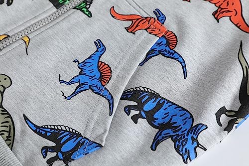 Unisex Child Full Zip Hoodie Sweatshirt Hoodies For Teen Boys Toddler Lightweight Zip Up Hooded (Grey, 9-10 Years)4